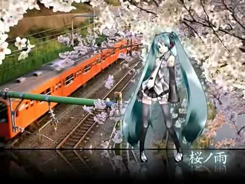 【武士が卒業を語る】桜ノ雨【伊東歌詞太郎】