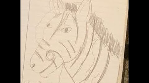 Zebra M301 0.5 mm Mechanical Pencil Review and the European Colonization of Africa