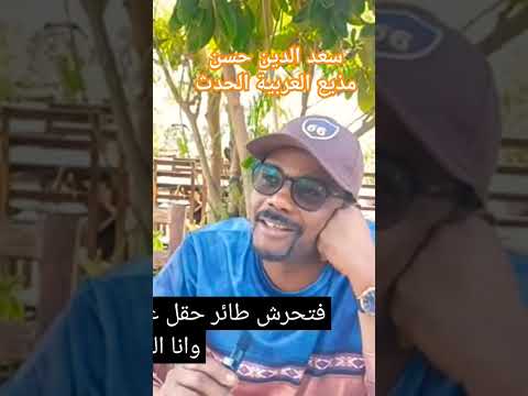 قصيدة رائعة سعد الدين حسن المذيع السوداني في قناة الحدث