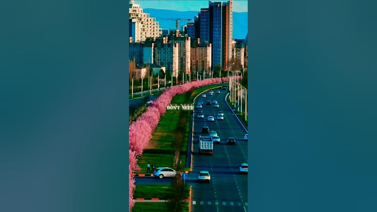 Show me love (with Tyla) - WizTheMc lyrics song | Aesthetic status | #showmelove #tyla #aesthetic Show me love (with Tyla) - WizTheMc lyrics song | Aesthetic status | #showmelove #tyla #aesthetic