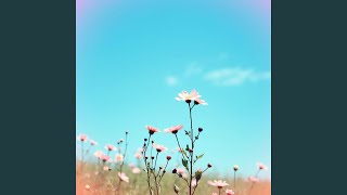 Langit Biru Bercerita Tanpa Suara