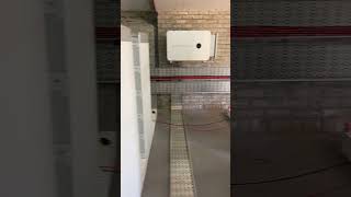 IMG 6288
