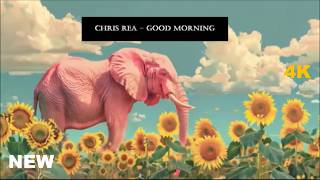 Watch Chris Rea Good Morning video