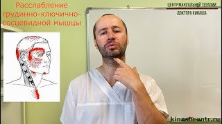 Самомассаж грудинно-ключично-сосцевидной мышцы. Боль в голове, головокружение, ринит.