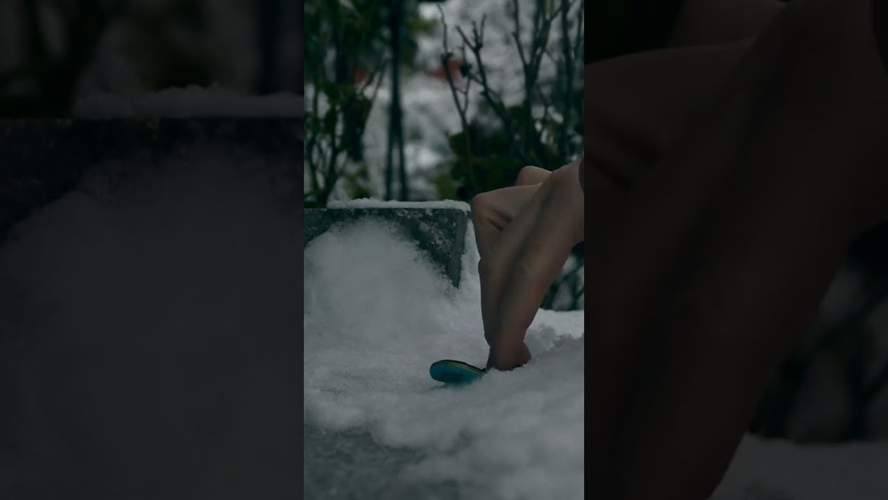 Finger Snowskating is a thing? 😲