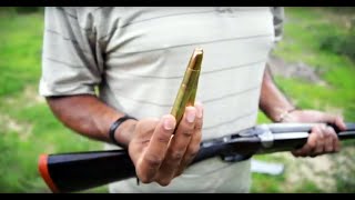 Rigby .470 Nitro Express Vs. A Pineapple