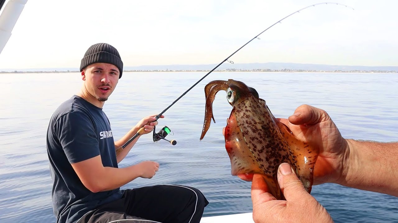 Squid Fishing off Adelaide's' Coastline, South Australia