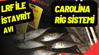 Lrf Ile Istavrit Avı. Carolina Rig Sistemi