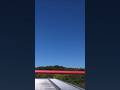 岐阜基地航空祭2025 予行 F-2A 機動飛行