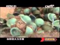 20140412 百战经典 百年硝烟话航母——海湾战争