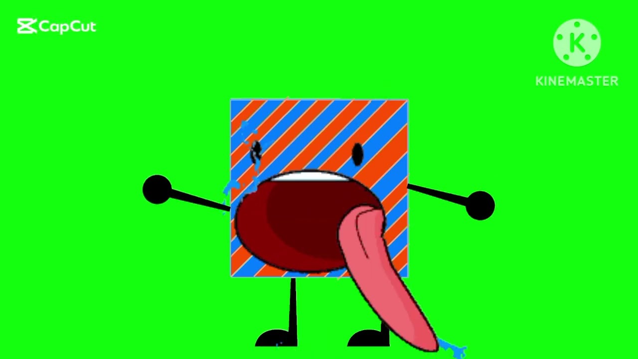 DBSR/DJ Boys SR Doing UglyFace Green Screen