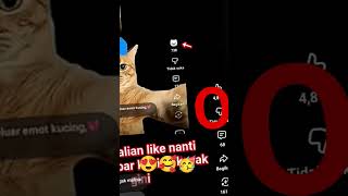 happy 4.8 like