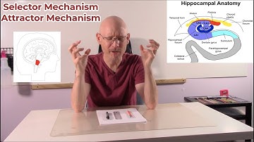 EnigmaCon Pt 5: The Attractor and Selector Mechanism