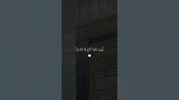 القرآن الكريم 🫀🎧 #اكسبلور #القران_الكريم #دويتو #المصحف #قران #راحة_نفسية