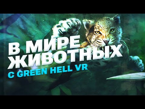 Превью видео игры