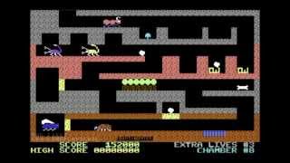 Celebrity C64-Longplay - Fireant (720p) Net Worth