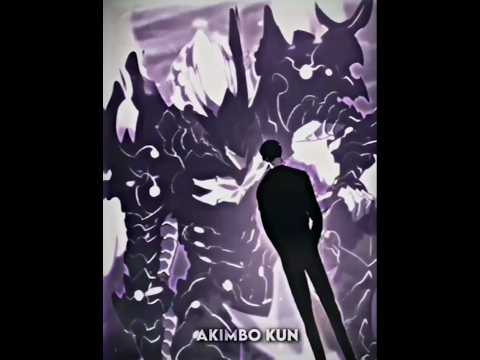 SOlO Leveling Edit