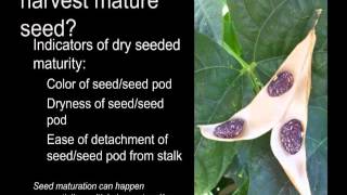 USDA Seed Saving