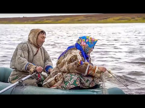 видео: Другая жизнь Санти. Потомственный оленевод. Крайний Север. Ямал. Часть 1 | ЯСАВЭЙ
