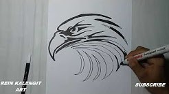 Download Tutorial Gambar Elang Tutorial Kreasi Mie Sarimi