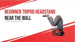 Beginner tripod headstand near the wall