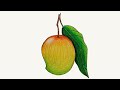 How to draw a mango step by step