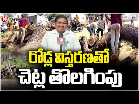 Big Trees Removed Because 4 Lines Road Expansion In Miryalaguda  V6 News - V6NEWSTELUGU