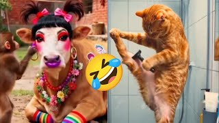 Download Lagu Funniest Animals of the Year! Try Not To Laugh Challenge Level 17 MP3