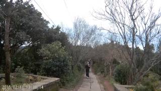 2016 0211 觀音山美景05