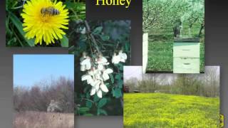 Year 2... Build Up Your Hives! with Marygael Meister and Kim Flottum