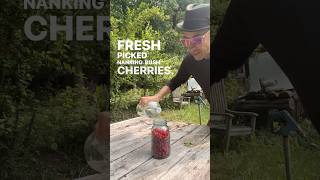 Bush Cherries