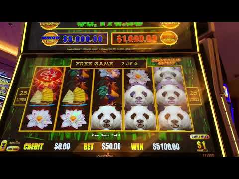 LIVE AT THE OYO Hotel & Casino FREE SLOT tournament