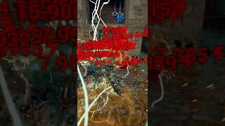 Who should I do next? Can you NUKE with every Warframe? Part 7-Gyre #gaming #warframe #nuke