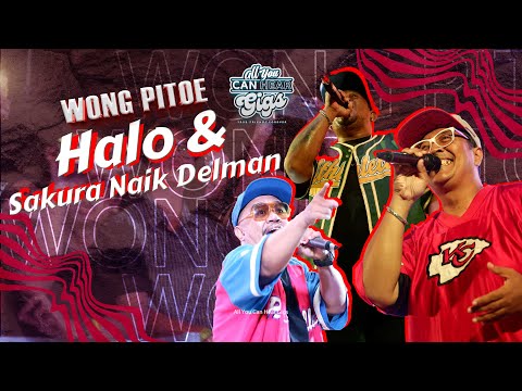 WONG PITOE - HALO - HALO & SAKURA NAIK DELMAN - ALL YOU CAN HEAR GIGS 2024