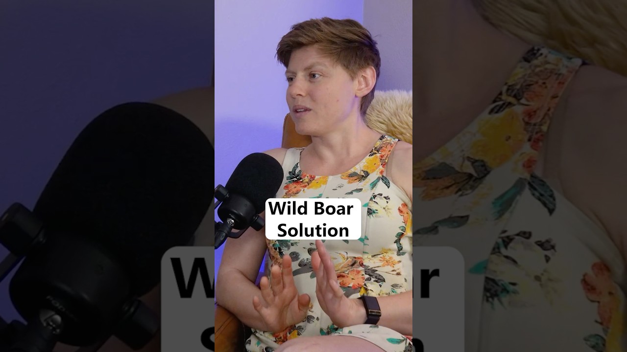 Would you try boar? 🐗