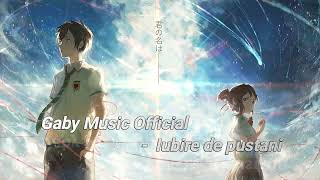 Gaby Music - Iubire De Puștani