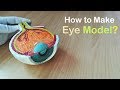 How to make model of section of eye using thermocol