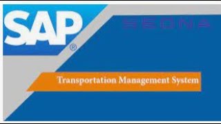 SAP TMS - ISSUES & HOW TO CHECK LOGS Profile
