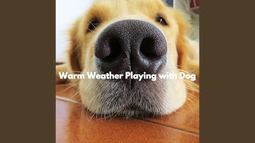 Cultured Electric and Acoustic Piano - Vibe for Forgetting Mirrors