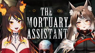 Famous WOLF COLLAB! Mortuary Assistant with Aruuu Tonight!【VTuber】Twitch VOD (10/24/22) Net Worth