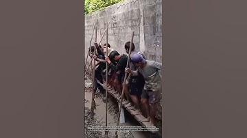 "Traditional Pile Driving: How Farmers Master Teamwork to Build Strong Foundations"