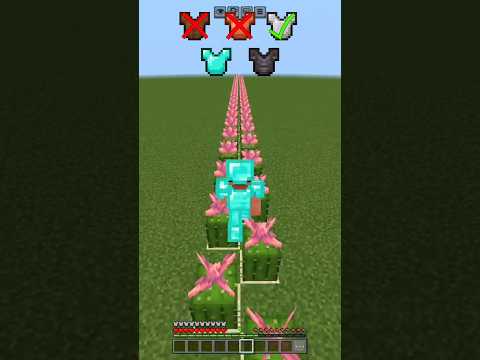 ARMOUR VS CACTUS DAMAGE IN MINECRAFT WAIL FOR IT... #minecraft #shorts