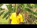 Lusangija Bhulemela- harusi ya Mbuke. (Official Video 2021) Mp3 Song