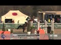Winner Wednesday: 7year old horses 1.35m Skrzyczynski Jaroslaw mit Quintella....