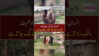 Naujawan Ki Janwar Se Muhabbat Social Media Par Viral