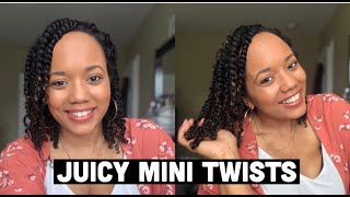 Mini Twists | Protective Styling