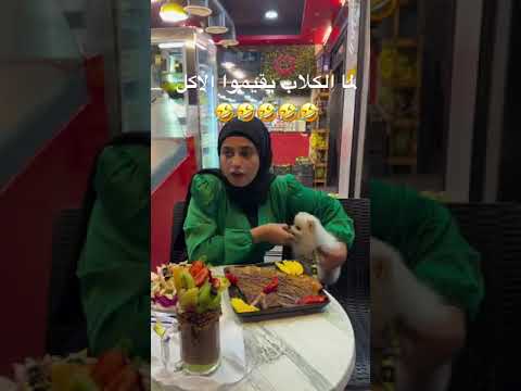 الكلب فوفي يقييم الطعام  اكسبلور تقييم اكل وفاء ترند ضحك   تيك توك
