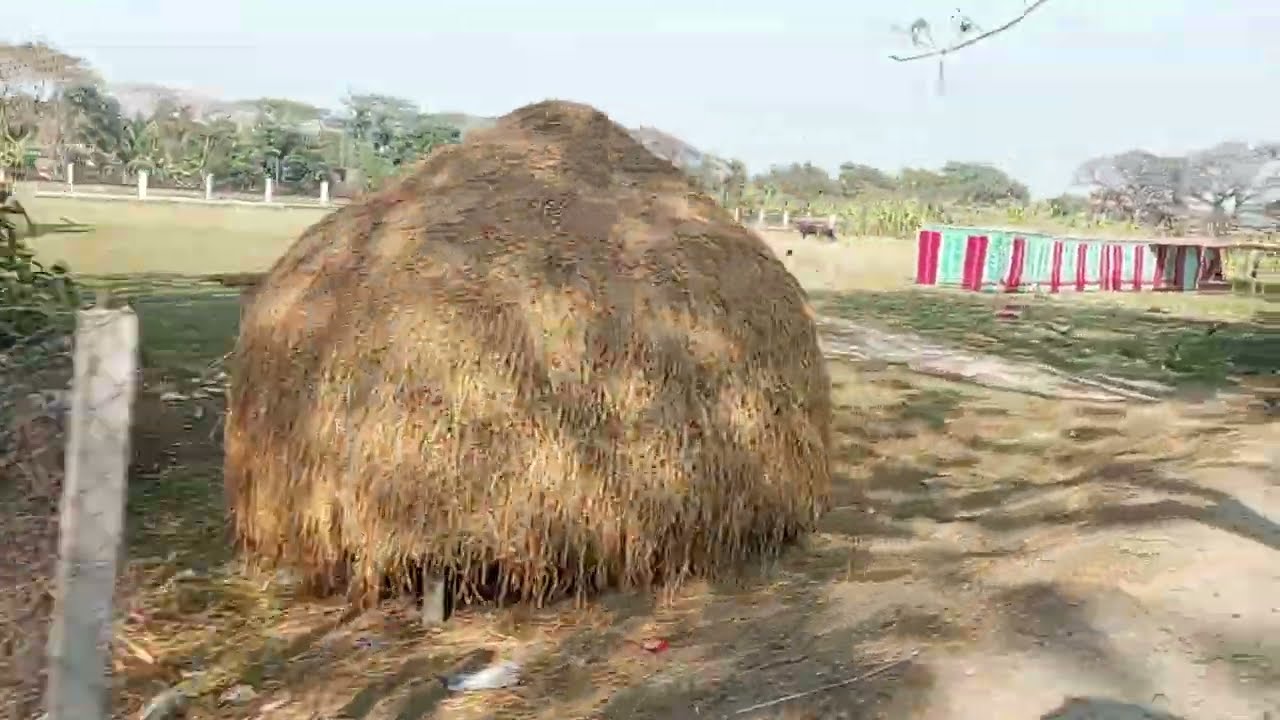 চাটমোহর বাস স্ট্যান্ড থেকে চাটমোহর রেল স্টেশন - Chatmohar Bus Stand to Chatmohar Railway Station.