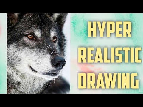 #drawing #sketching #realistic how to draw a fox || a&As Easy Drawing