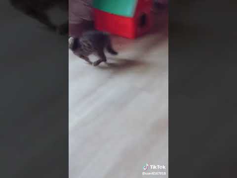 6 ноября 2018